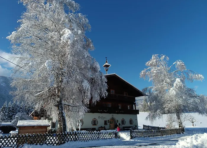 Apartament Stefflgut Maishofen